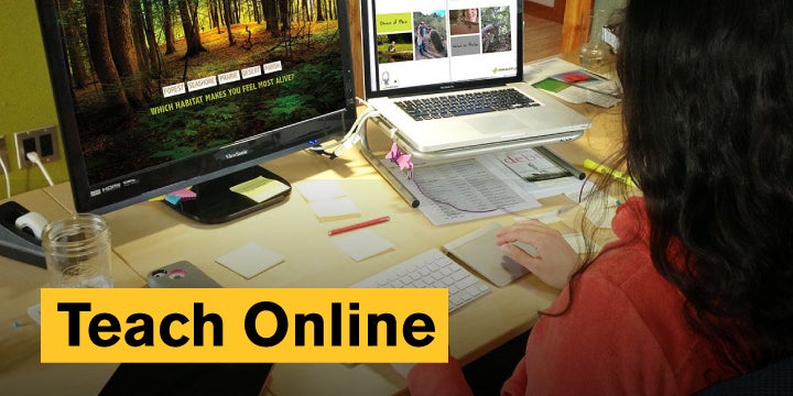TeachOnline, woman sitting facing a computer screen.